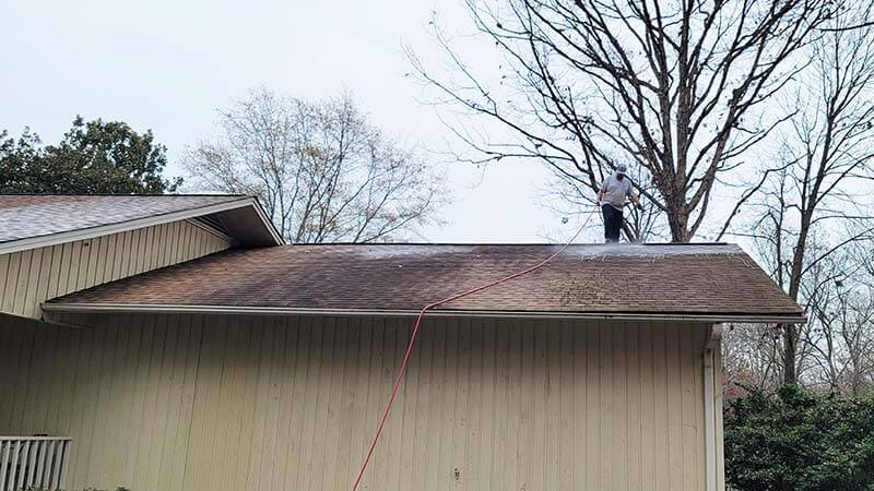 Roof Cleaning Service