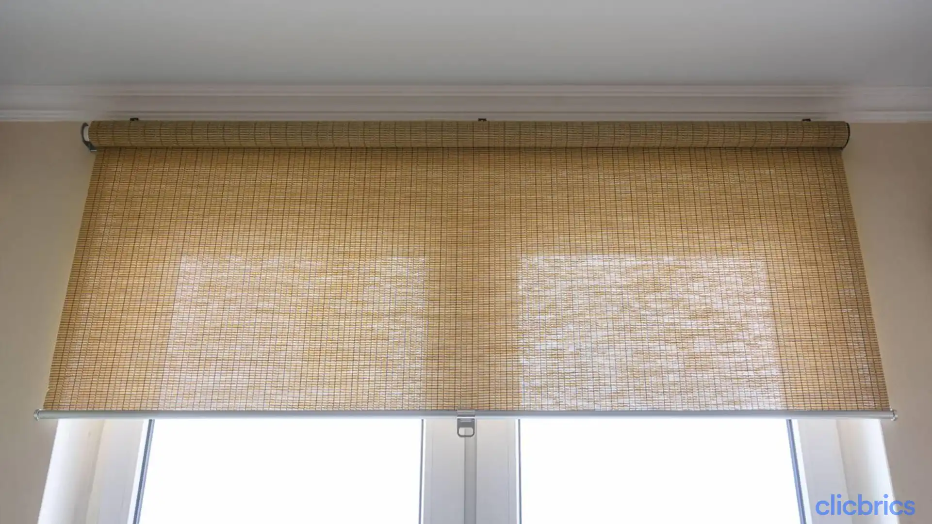 Window Blinds